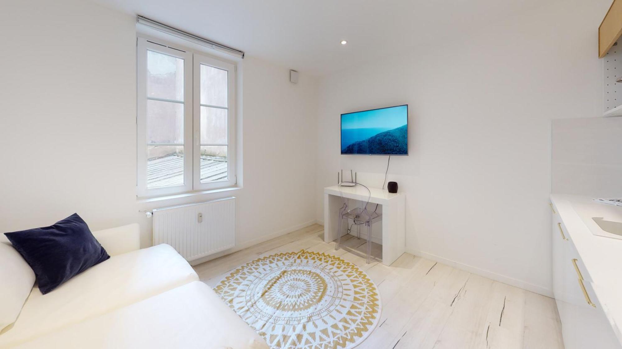 Appartements Modernes Avec Veranda 스트라스부르 외부 사진